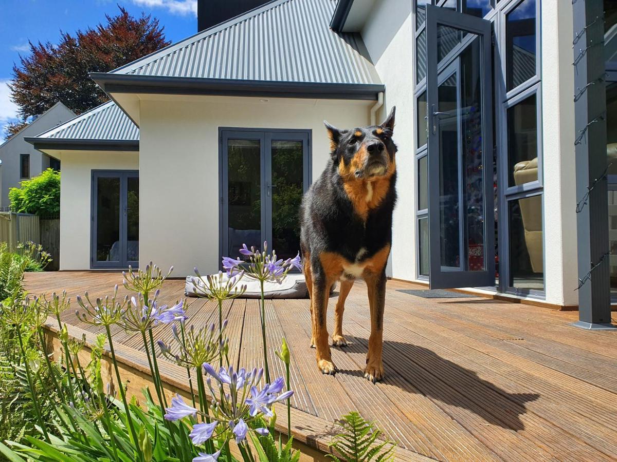 Christchurch Airport House Εξωτερικό φωτογραφία